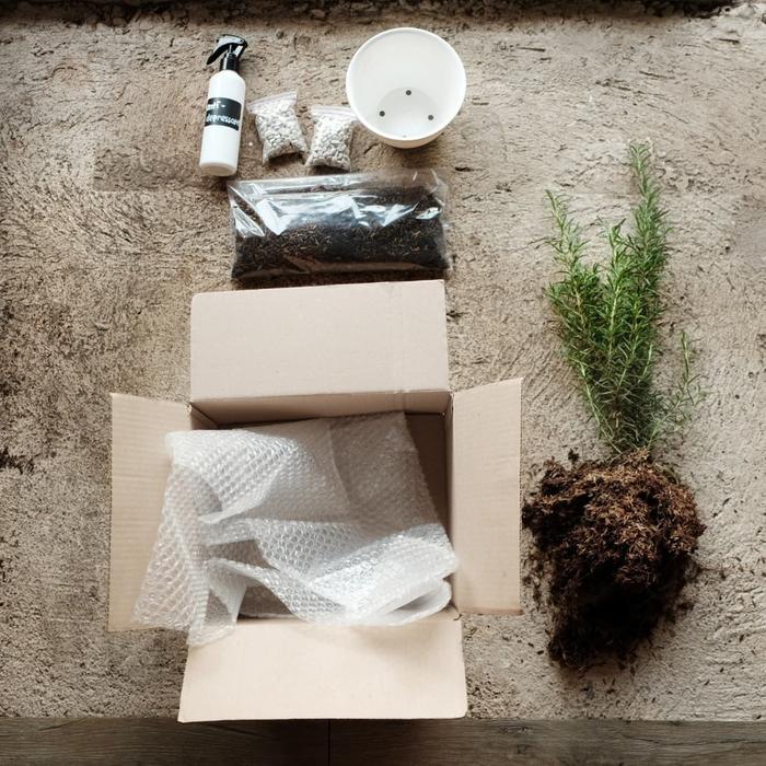 DISKON Kitchen Pack Rosemary READY STOCK