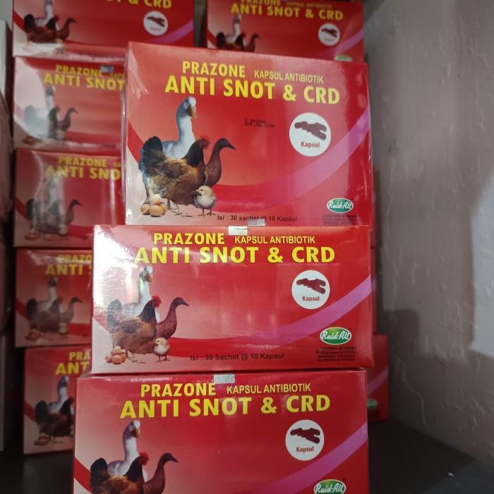 ANTI SNOT & CRD KAPSUL 1BOX RAID ALL